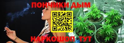 дурь Северобайкальск